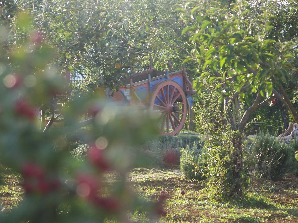 La Radice Ξενοδοχείο Paganica Εξωτερικό φωτογραφία